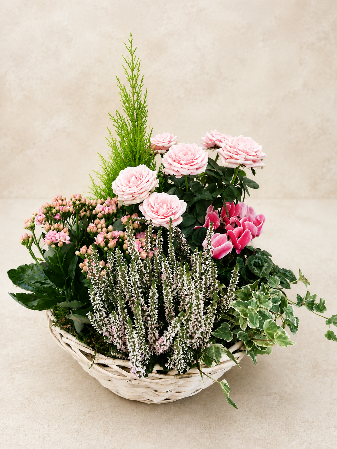 Coupe de plante - Jardin Secret
