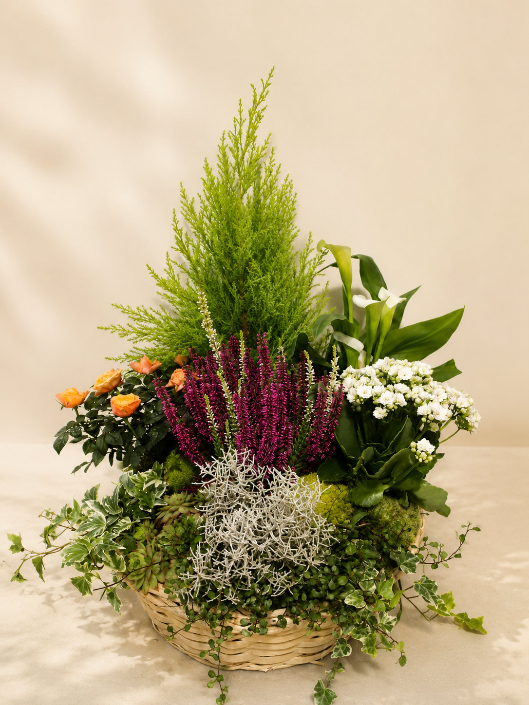 Coupe de plante - Jardin Délicat