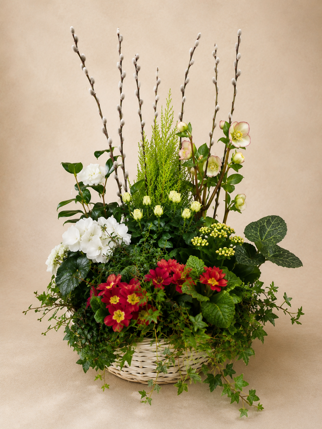 Coupe de plante - Jardin Mémoire