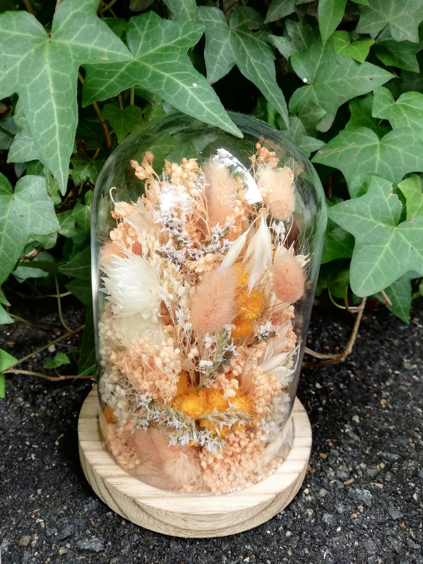 Cloche fleurs séchées Douceur