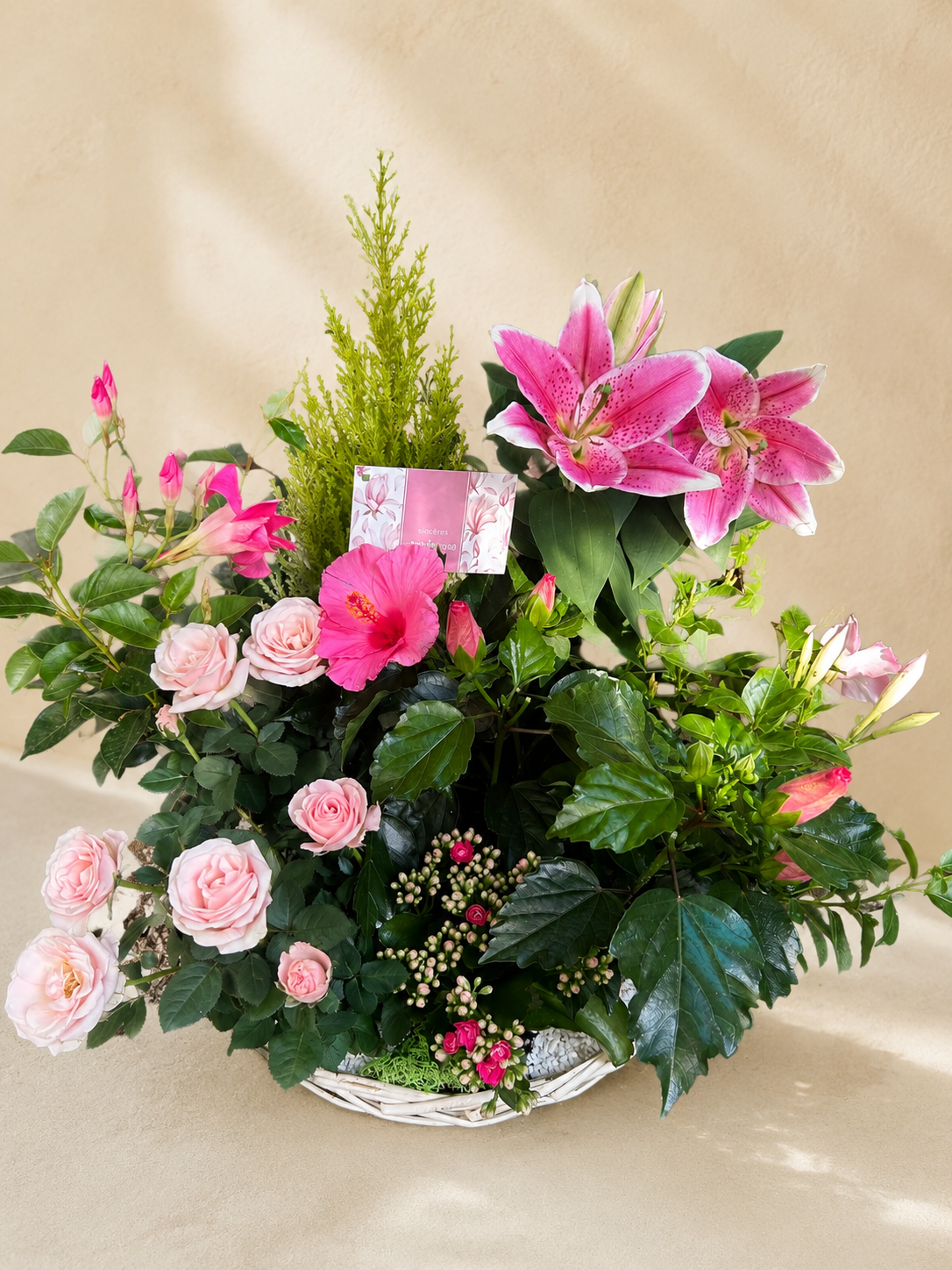 Coupe de plante - Jardin Céleste