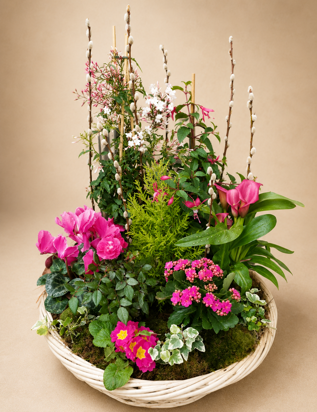 Coupe de plante - Jardin du souvenir