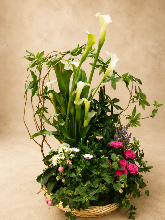 Coupe de plantes - Jardin témoignage