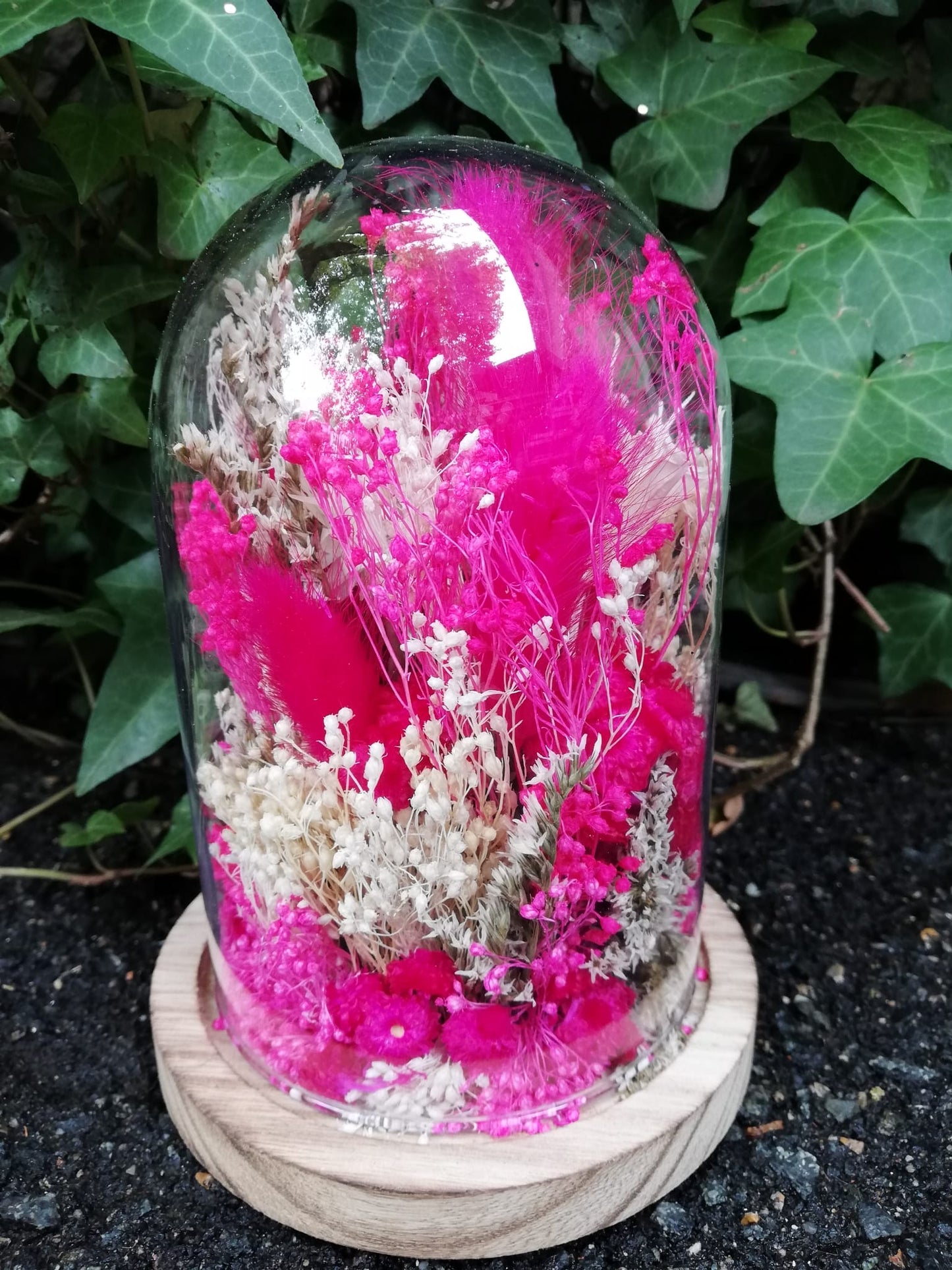 Cloche fleurs séchées Pink Lady