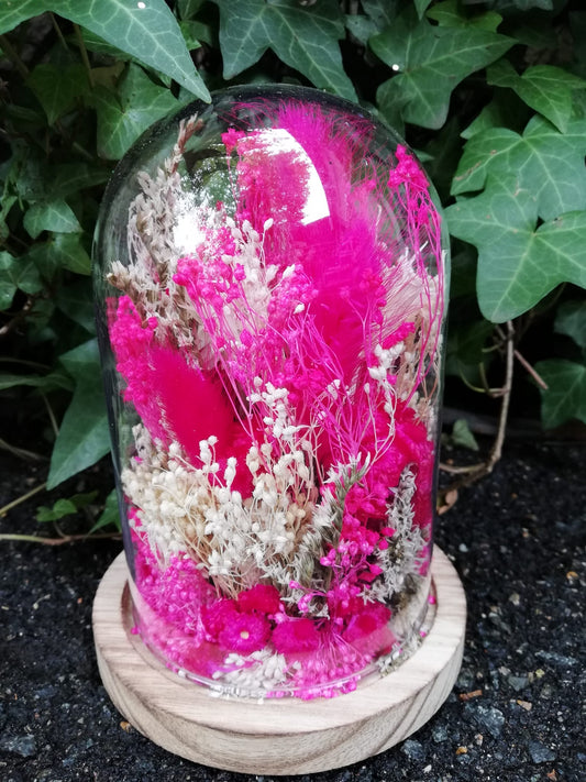 Cloche fleurs séchées Pink Lady