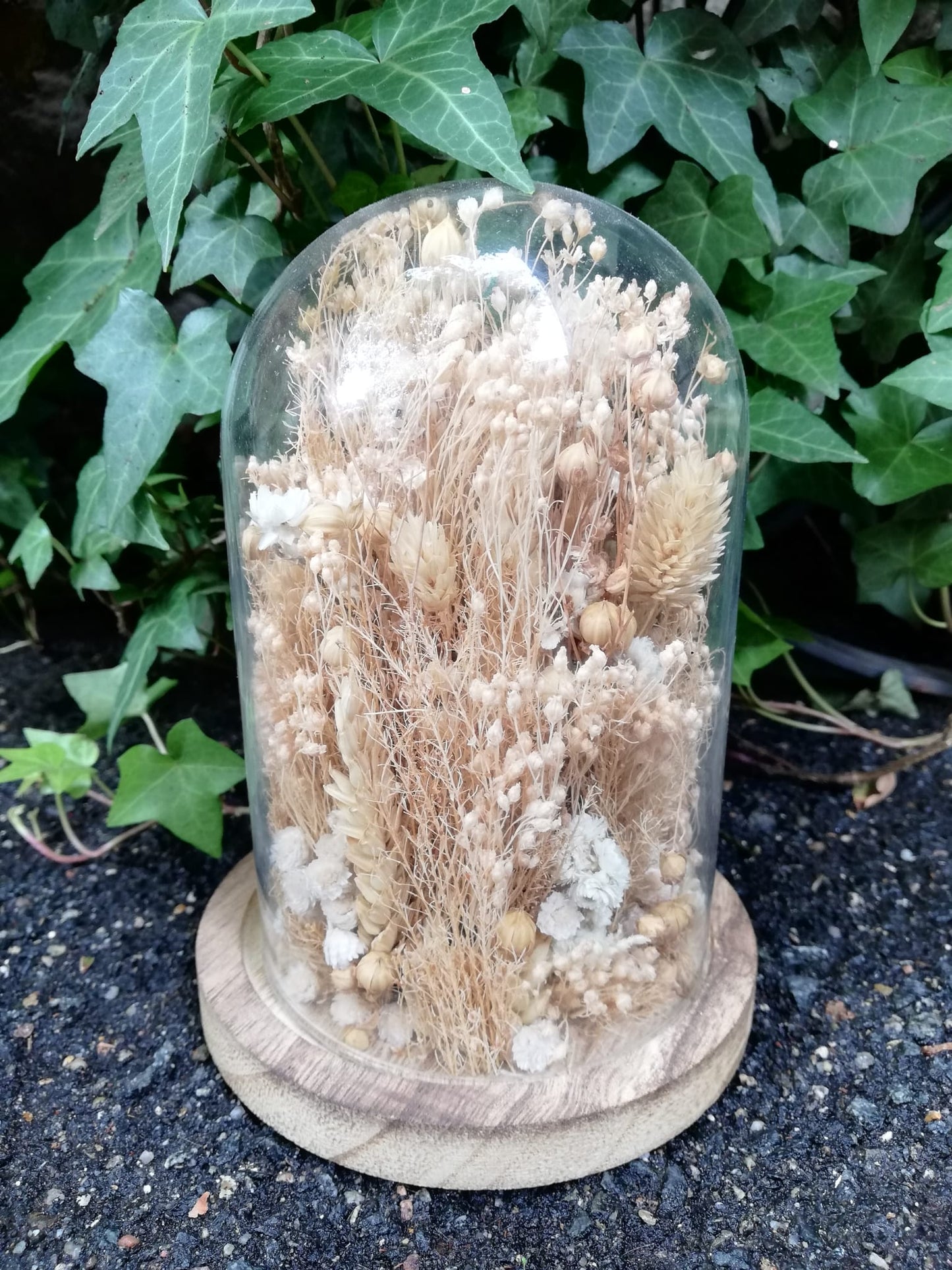 Cloche fleurs séchées Bohème