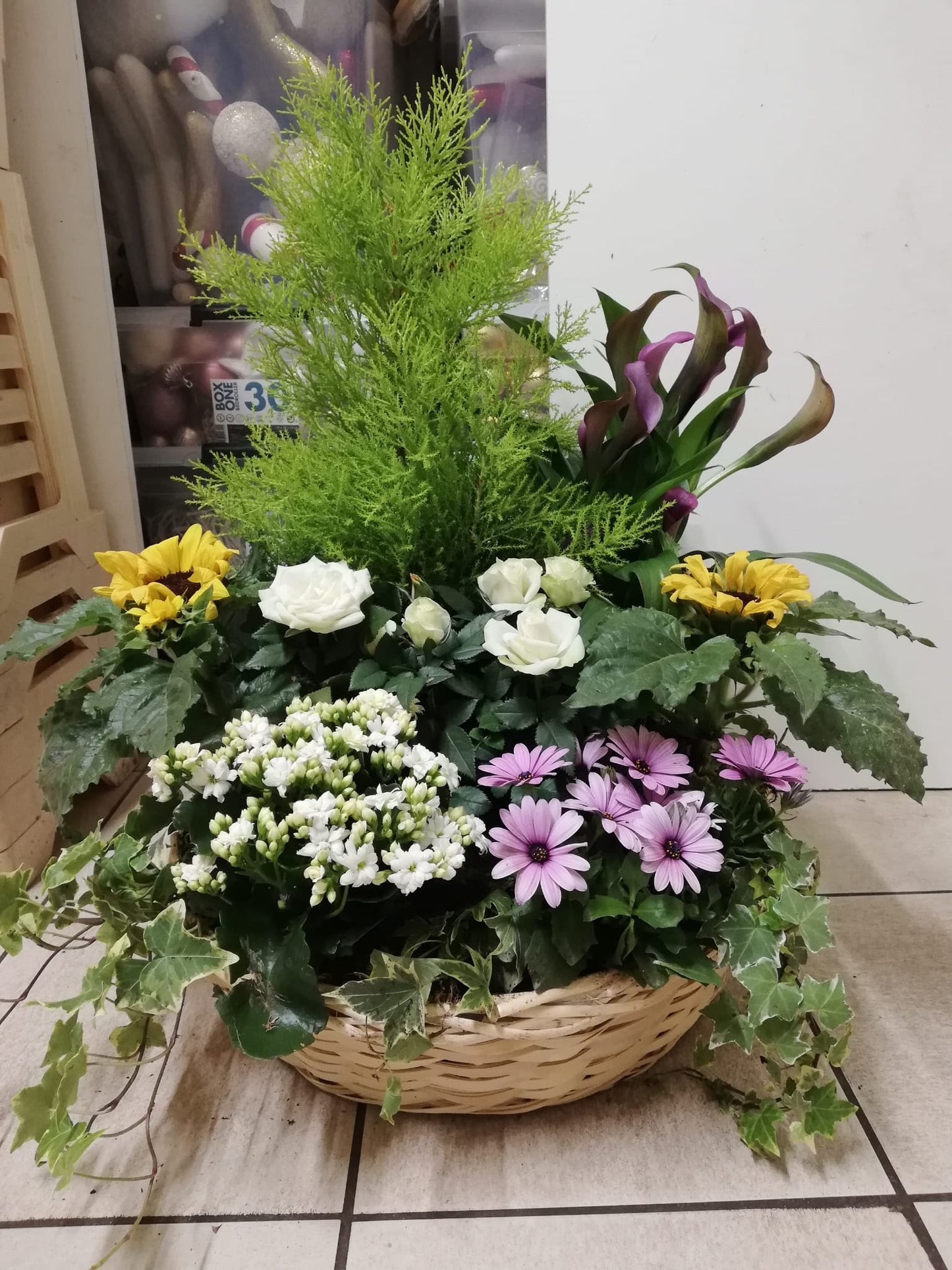 Coupe de plante - Présence