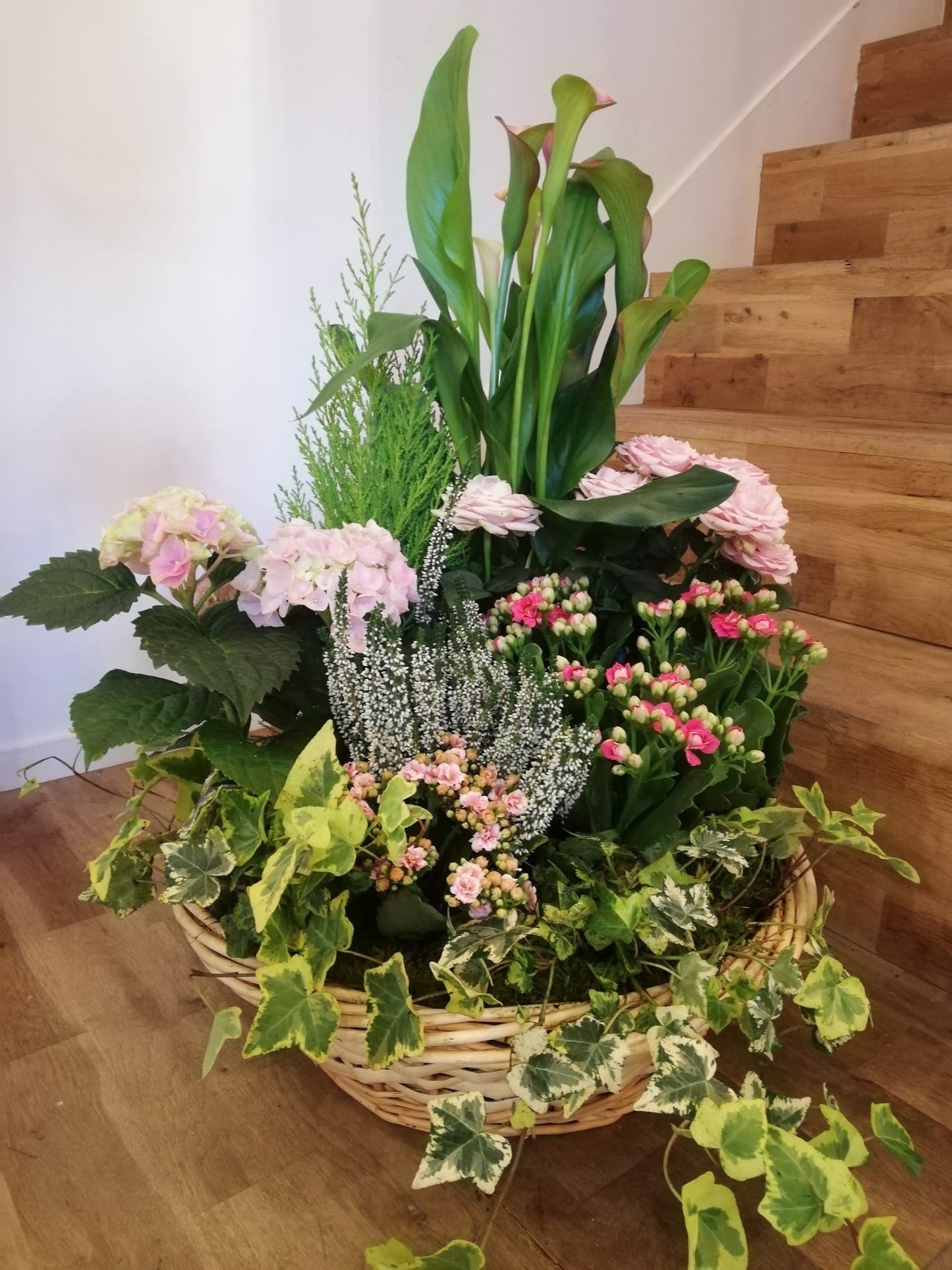 Coupe de plante - Éternité