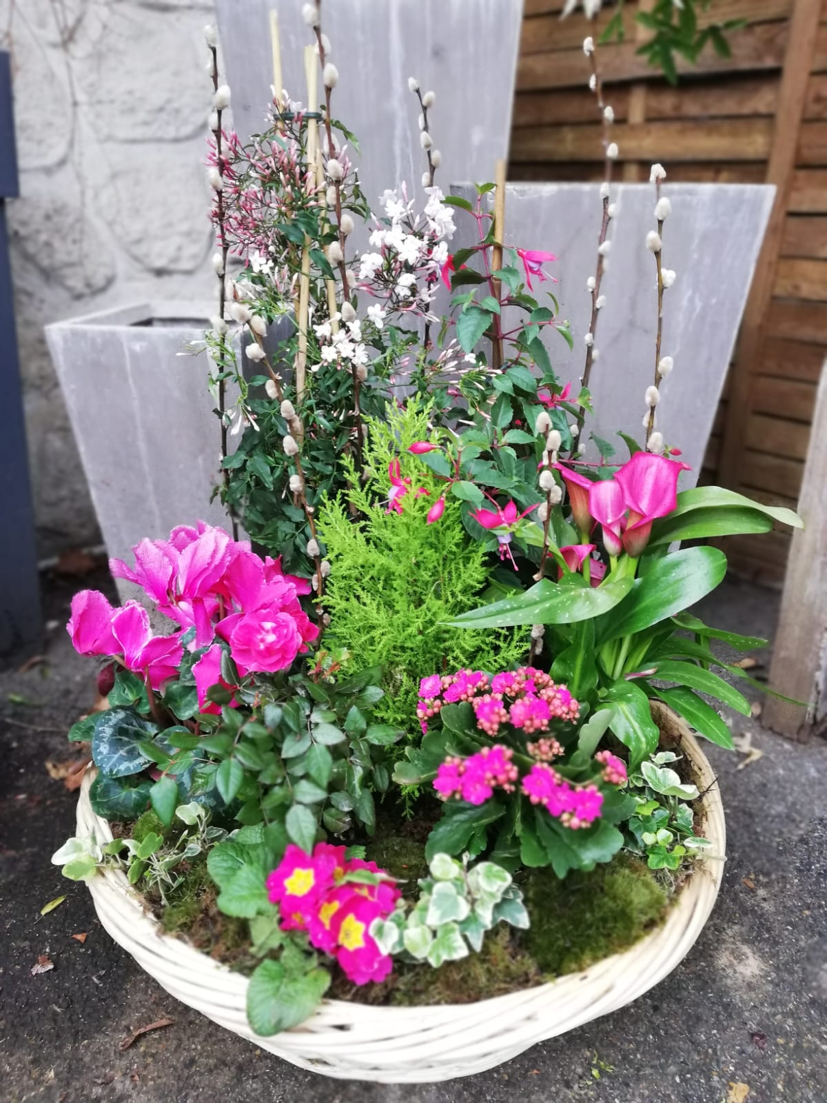 Coupe de plante - Jardin du souvenir