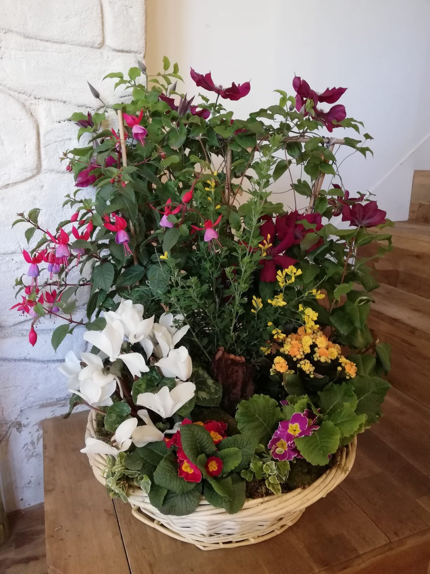 Coupe de plante - Lien éternel