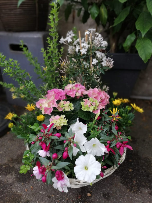 Coupe de plante - Souvenir